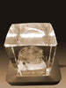 3D Crystal Laser Engraved XXLarge Brick, Laser Engraved with Your Photo, Personalized Photo Gift, 3D Laser Engraved Etched Crystal - 3D Crystal Wedding Collection 4